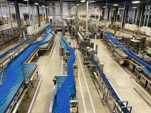 建国内最快脉动生产线 达能湖北工厂今年产值将提升四成