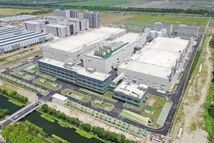 打破外企垄断 国内最大规模大硅片生产厂在新区竣工